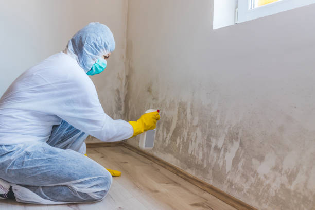 Licensed Bathroom Mold Removal service in Plainsboro, NJ - WQB Mold Removal