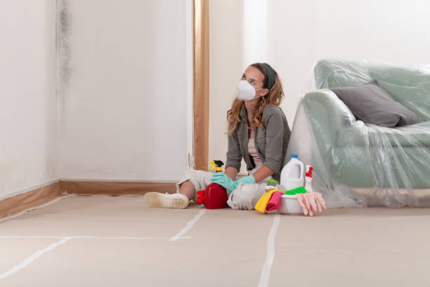 Reliable Bathroom Mold Removal contractor in Plainsboro, NJ by WQB Mold Removal